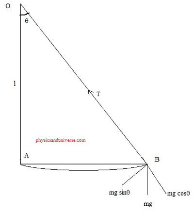 simple pendulum